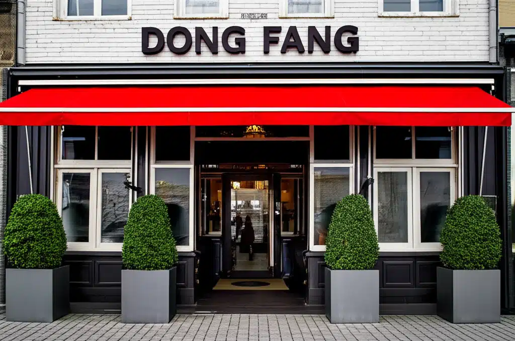 Dong Fang 1 Dong Fang: Kinesisk Kultur og Tradition i Billeder
