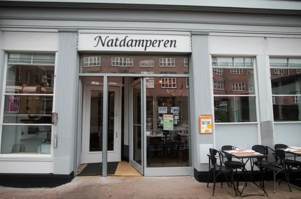 Natdamperen 1 Natdamperen: En historisk jernbaneoplevelse i Danmark