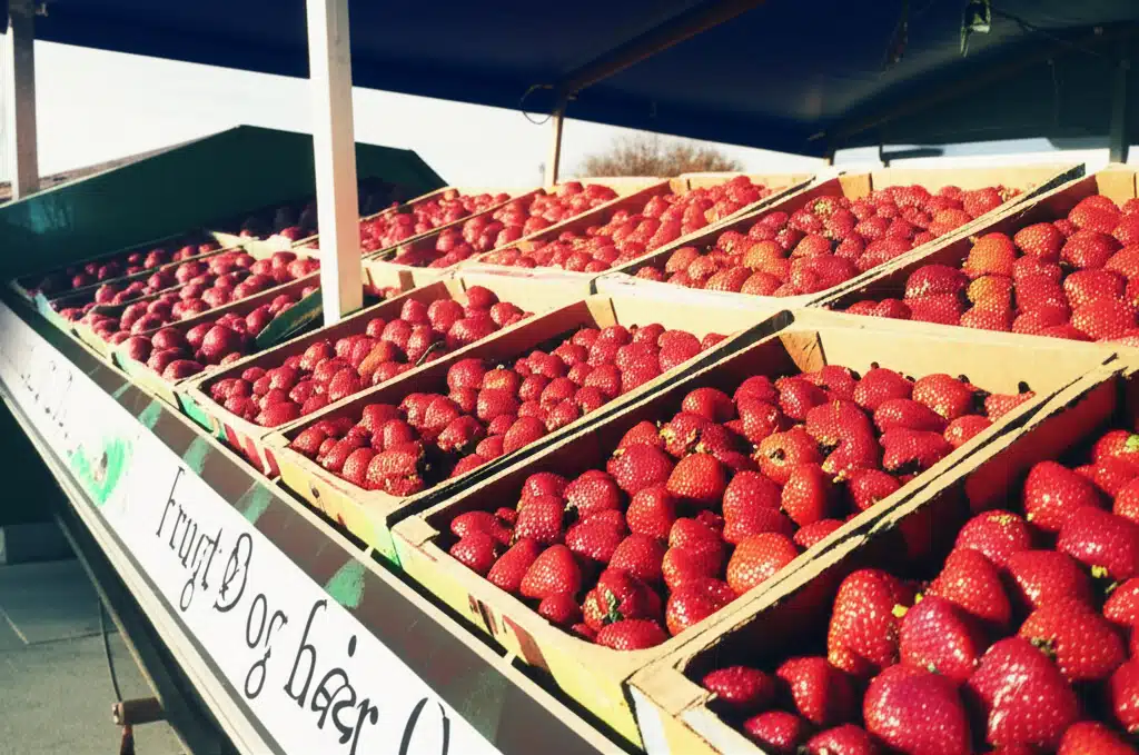 Stevninggård Frugt og Bær 1 Stevninggård Frugt og Bær: Friske, Lokale Delikatesser