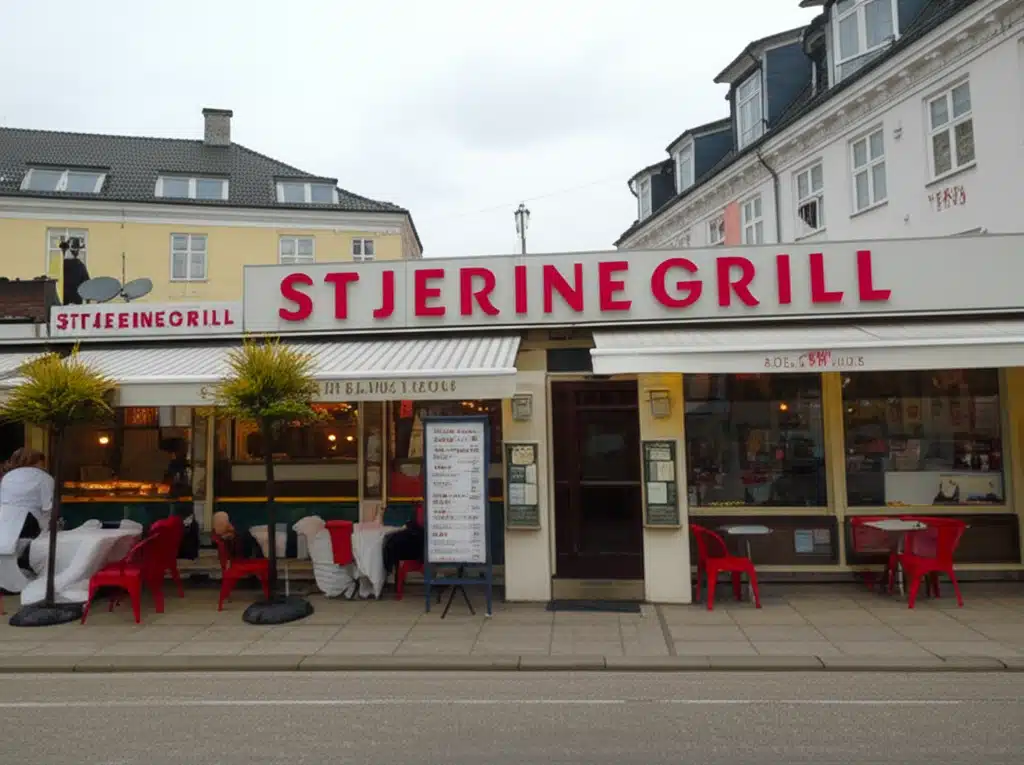 Stjernegrill: Perfekt grillning med professionelle tips og tricks